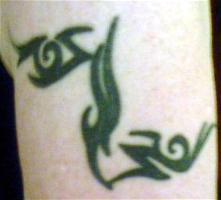 Mez's arm