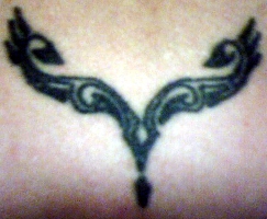 Mez's arse antlers