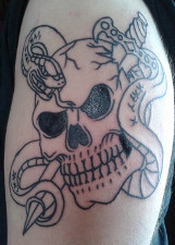 Will's Skull