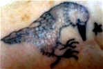 Mez's Crow